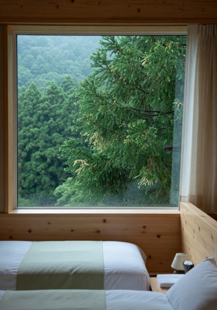 Forest View Twin