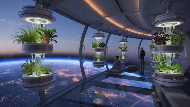 Observation deck — Earth limb at blue hour